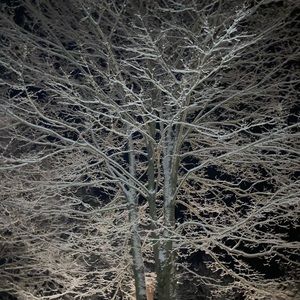 Meet your Posher, Madeleine